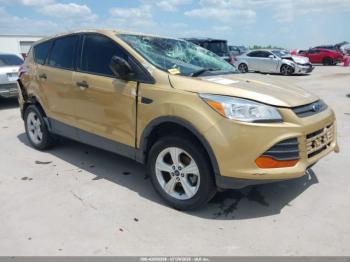  Salvage Ford Escape