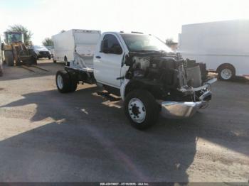  Salvage International CV