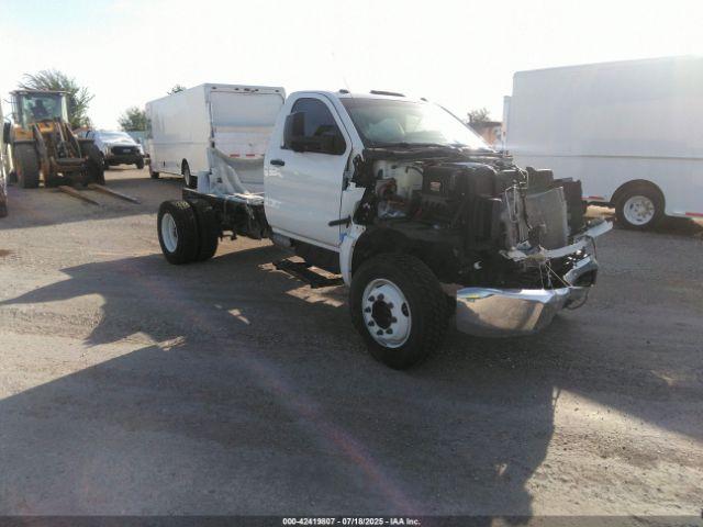  Salvage International CV