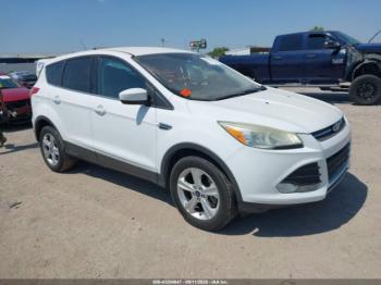  Salvage Ford Escape
