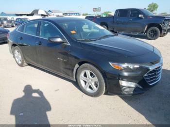  Salvage Chevrolet Malibu