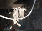 Kawasaki Krt1000 Image 11