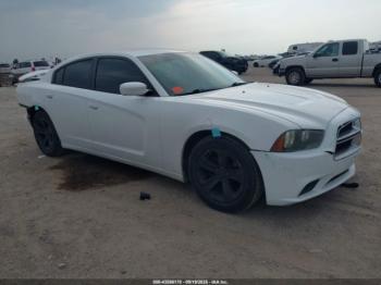 Salvage Dodge Charger