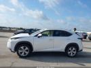 Lexus NX Image 10