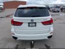 BMW X Series Xdrive50i Image 3