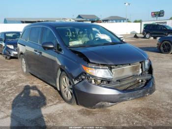  Salvage Honda Odyssey