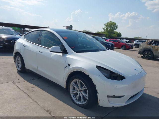  Salvage Tesla Model Y