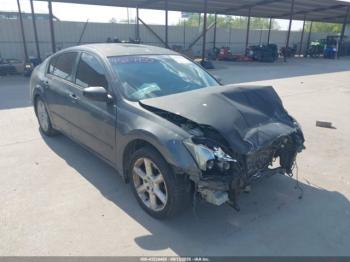  Salvage Nissan Maxima