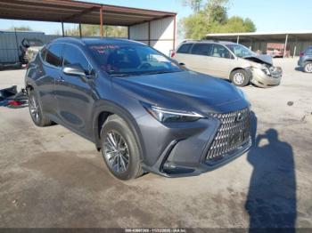  Salvage Lexus NX
