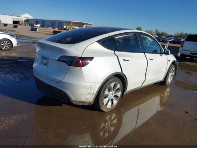 Tesla Model Y Rwd Image 14