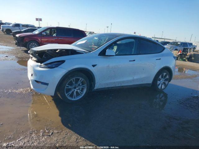 Tesla Model Y Rwd Image 12