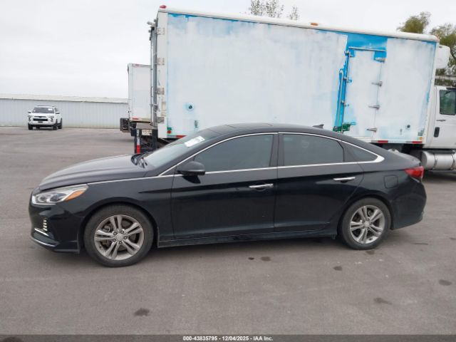 Hyundai SONATA Limited Image 13