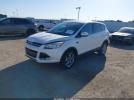 Ford Escape Sel Image 2
