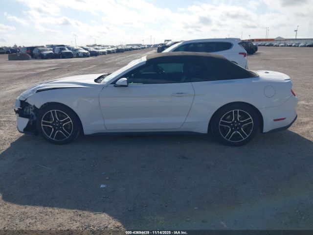 Ford Mustang Ecoboost Premium Image 12