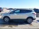 Ford Escape Sel Image 3