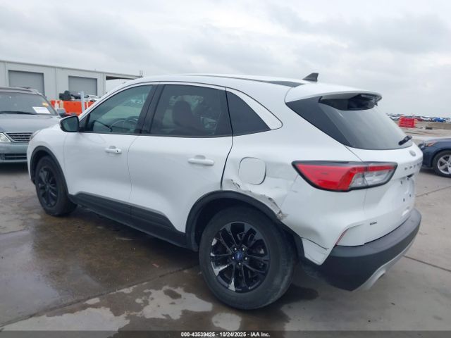 Ford Escape Se Hybrid Image 13