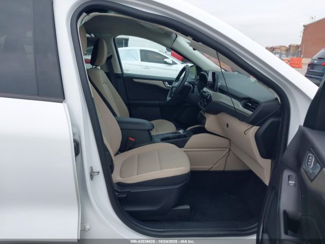 Ford Escape Se Hybrid Image 3