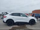 Ford Escape Se Hybrid Image 7