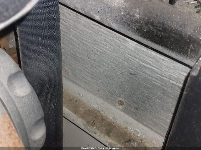 Thomas School Bus Image 9