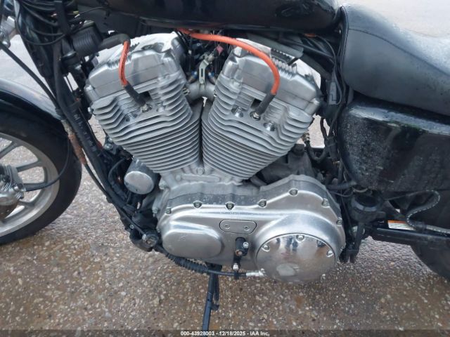 Harley-Davidson Xl883 Image 6